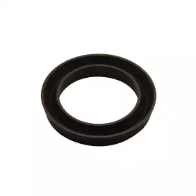 Aurora Brugnetti V piston gasket 51x38x7.5mm