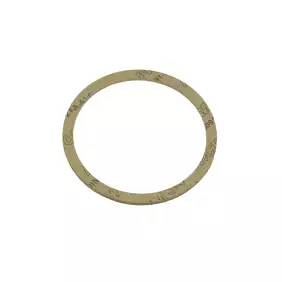 La Pavoni brass heating element gasket