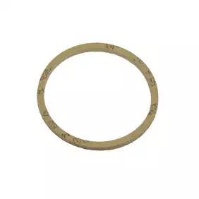 Faema Thermovelox boiler group locking gasket