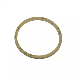 Faema Thermovelox boiler group locking gasket