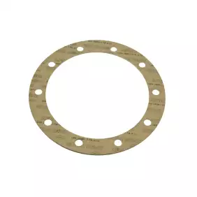 Gaggia boiler gasket