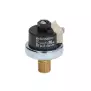 Pressostat XP110 0,5 - 1,5 bar 1/4 "