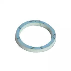 Faema fiber gasket