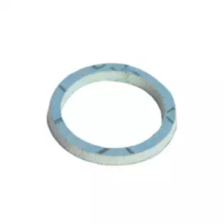 Faema fiber gasket