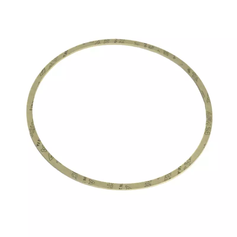 La Cimbali m15 boiler gasket