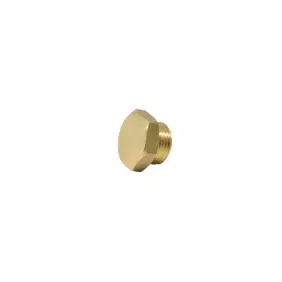 Male plug 3/8"