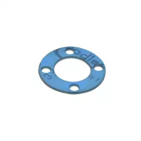 Aurora Brugnetti group locking gasket