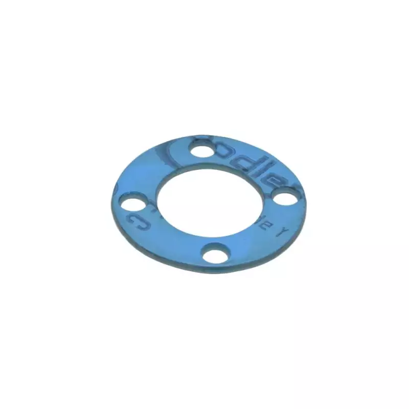 Aurora Brugnetti group locking gasket