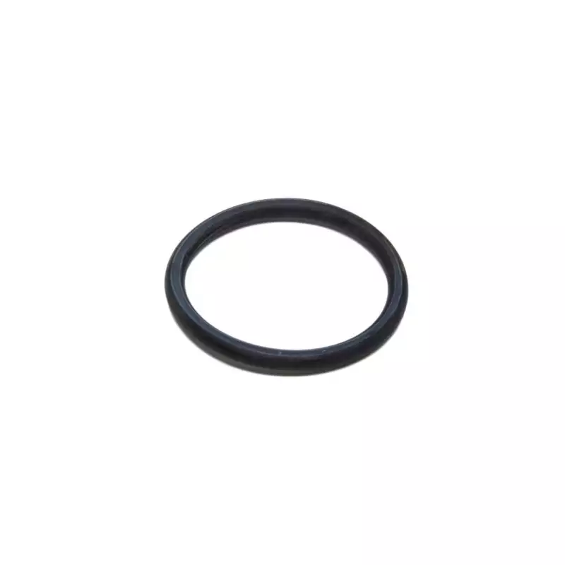 Filter ring o ring 53,34X5,33mm