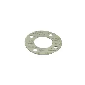 Gaggia group locking gasket