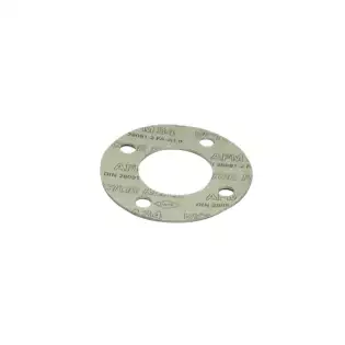 Gaggia group locking gasket