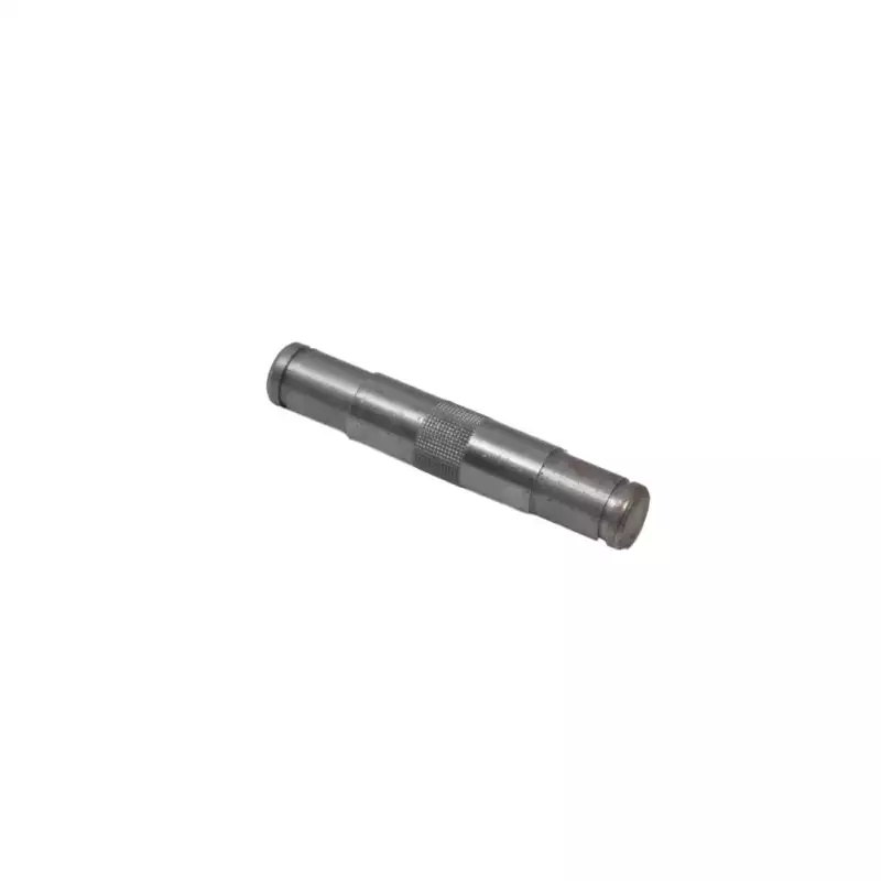 Bearing holder pin