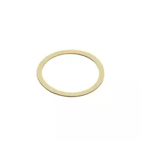 Fiorenzato portafilter shim 0,8mm