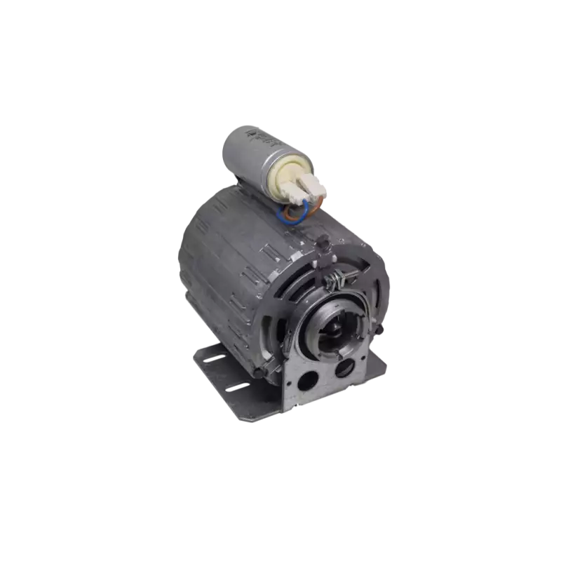 Moteur de pompe RPM 165W 230V 50 / 60Hz