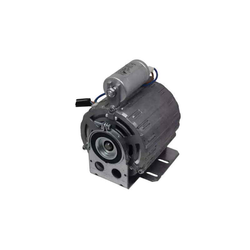 Moteur de pompe RPM 165W 230V 50 / 60Hz