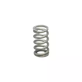 Gaggia steam water valve spring