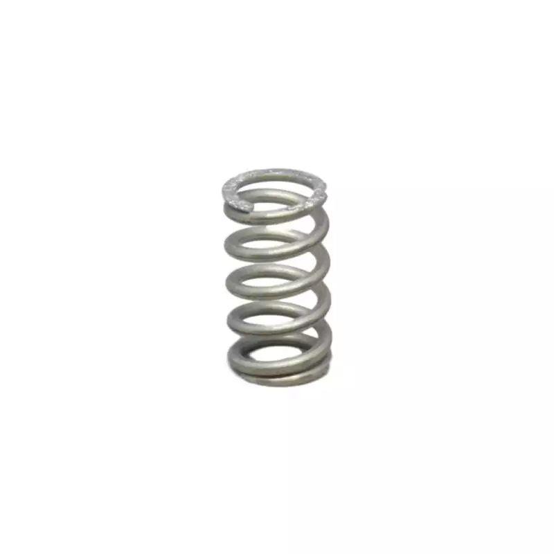 Gaggia steam water valve spring